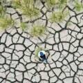 Diplomatura en Litigio Climático en América Latina y el Caribe: abierta la inscripción 2026
